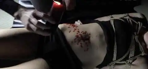西檬之家-BDSM中的K8是什么？猫系臣服者详解