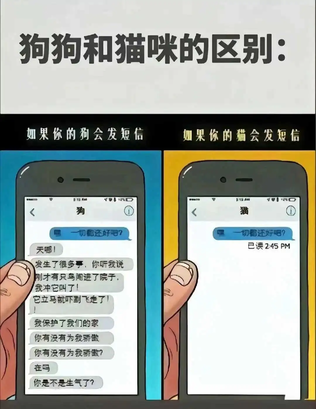 【西檬之家】BD是什么？BDSM新人入圈必读术语指南