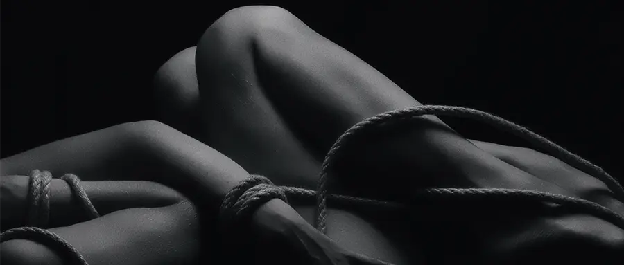 【西檬之家】DT是什么？BDSM字母圈新人入圈指南
