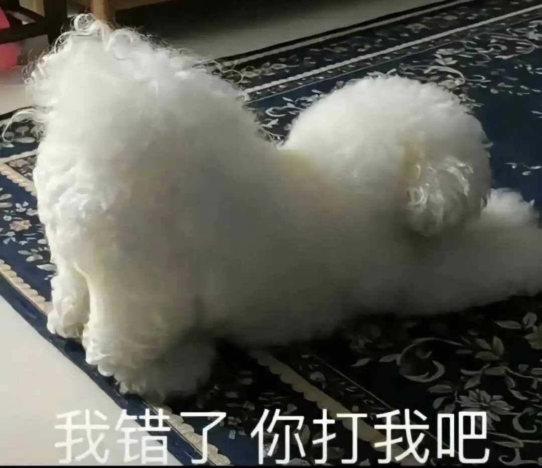 西檬之家-Brat属性是什么？字母圈新人入圈指南
