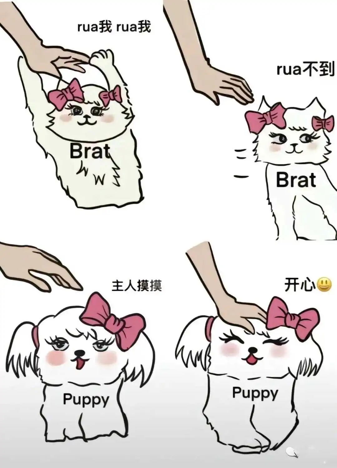 【西檬之家】Brat属性是什么？字母圈新人权力交换指南