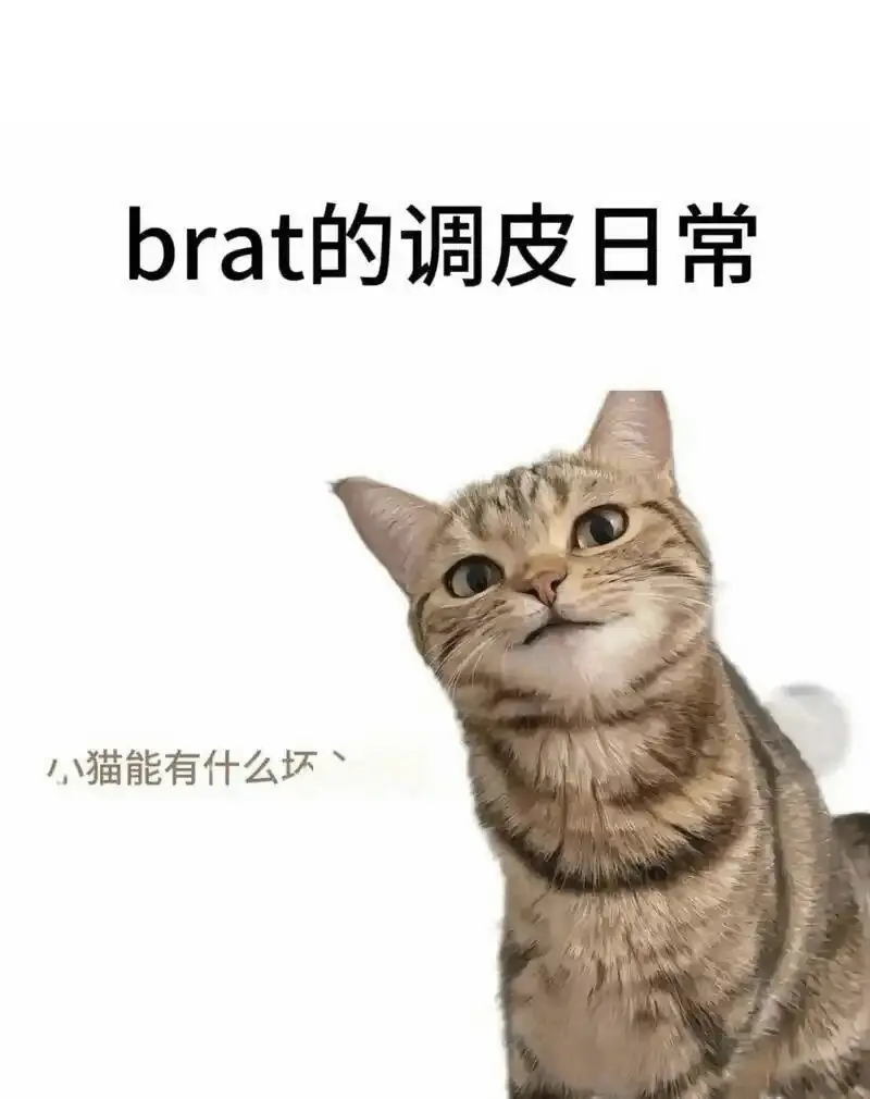 【西檬之家】- 字母圈新人入圈指南