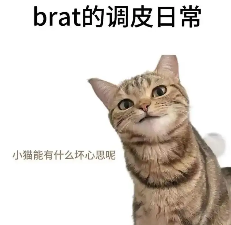 西檬之家-字母圈M倾向：BDSM新人指南