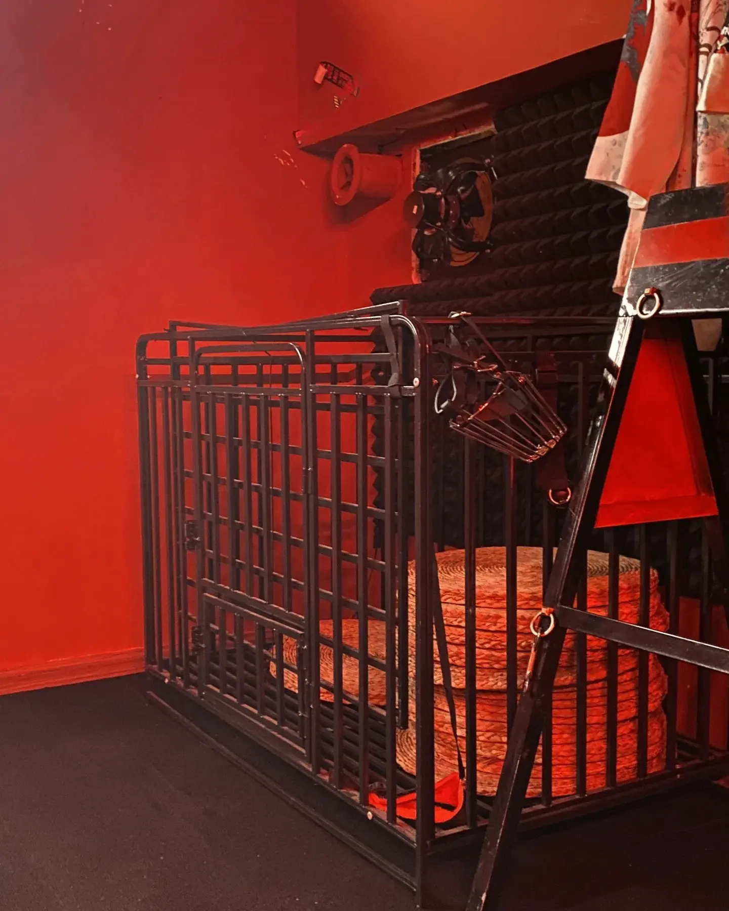 西檬之家-大圈是什么意思？BDSM新人入圈基础指南